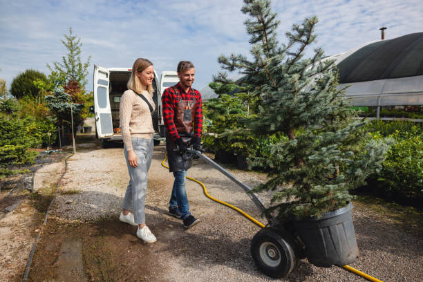 Best Tree Removal Near Me  in Sugar Creek, MO